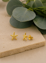 Load image into Gallery viewer, Gold Plated Starfish Stud Earrings – Recycled Sterling Silver