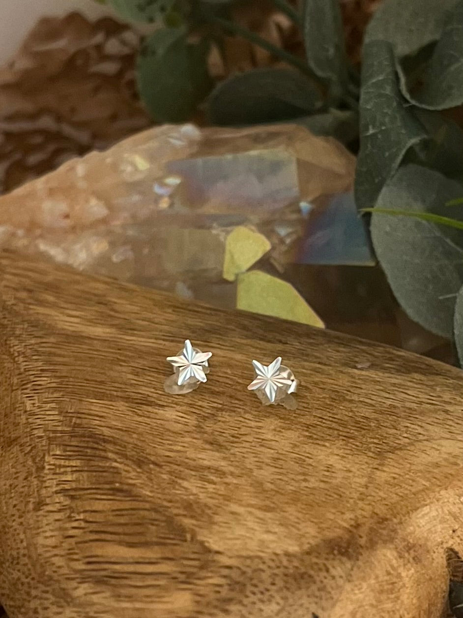 Plisse Star Stud Earrings