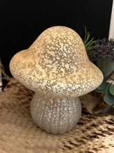 Load image into Gallery viewer, Toadstool LED Light
