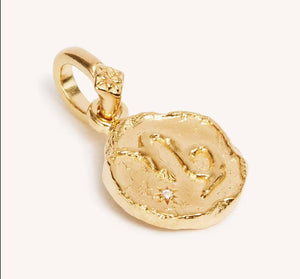 Capricorn zodiac necklace waterproof tarnish free gold plated stainless steel