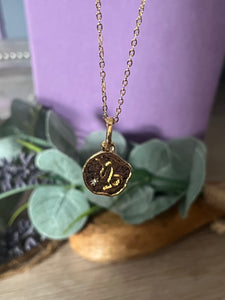 Horoscope Collection - Zodiac Blaze Pendant Necklace - Capricorn