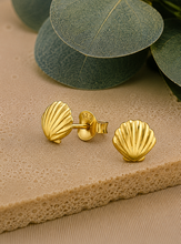 Load image into Gallery viewer, Gold Plated Sterling Silver Shell Earrings – 24ct Gold Colour
