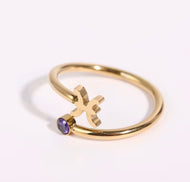 Pisces Dainty Gold Zodiac Ring, Adjustable Birthstone Astrology Jewellery